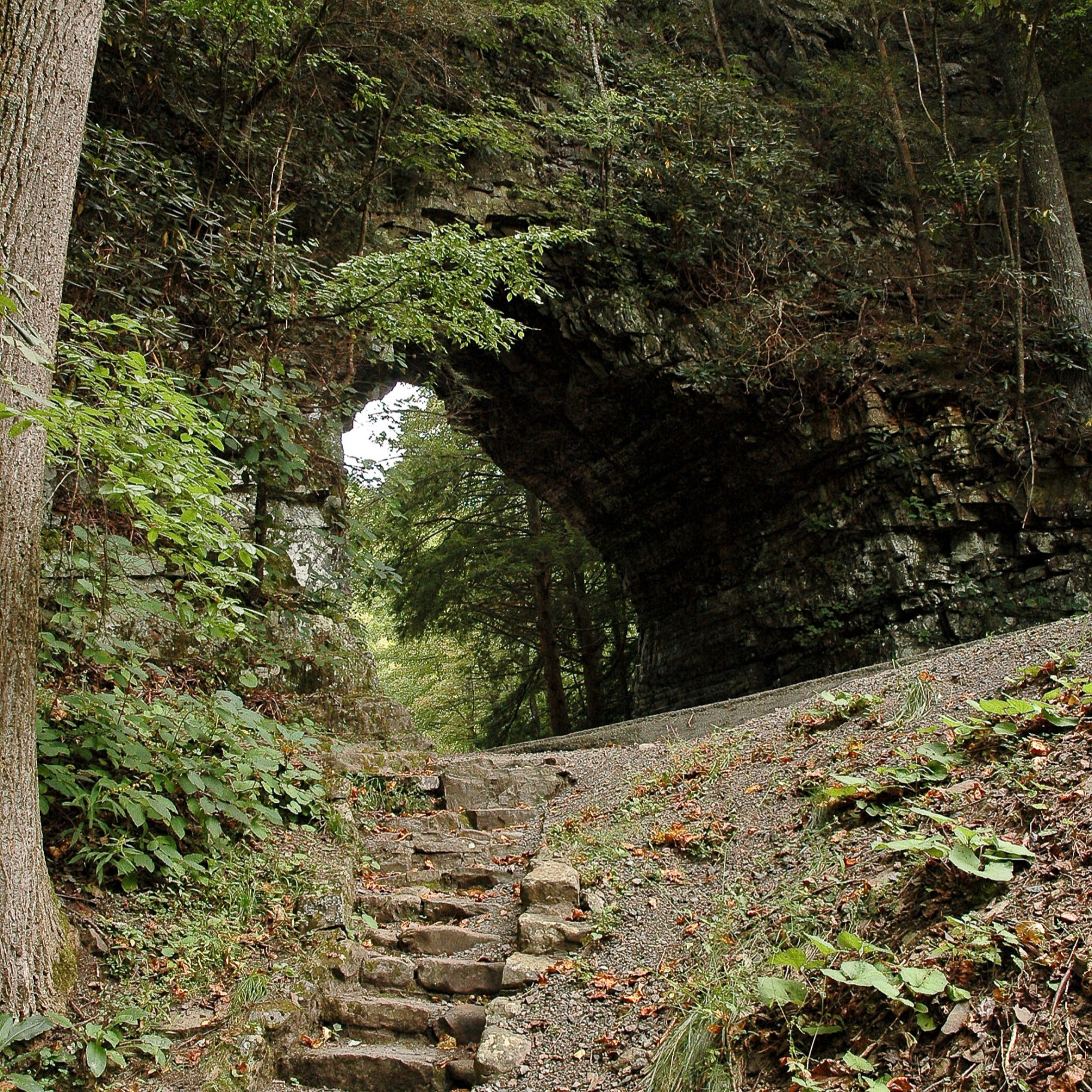 Fun Things to do near the Virginia Creeper Trail in Damascus, Bristol